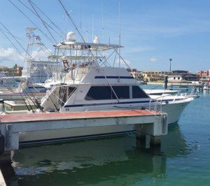 Mahi mahi fishing on the Lady Lola