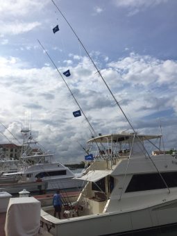 white marlin on a fishing charter in Punta Cana